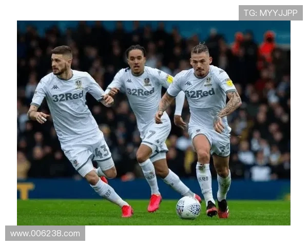 利兹联俱乐部新赛季战略曝光重建阵容冲击英超目标管理层发声球迷期待