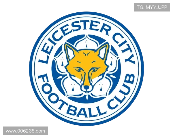 围绕莱斯特城俱乐部探寻逆袭奇迹与未来发展蓝图的多维演进之路上